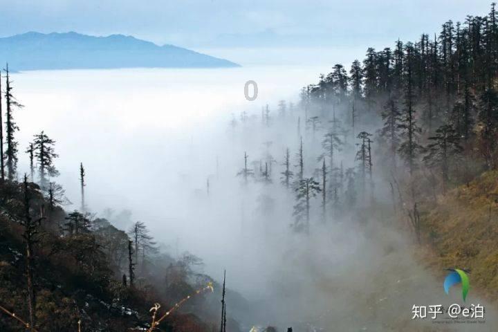 神游记