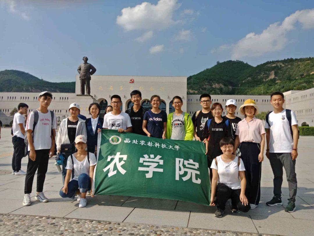 病毒大作战