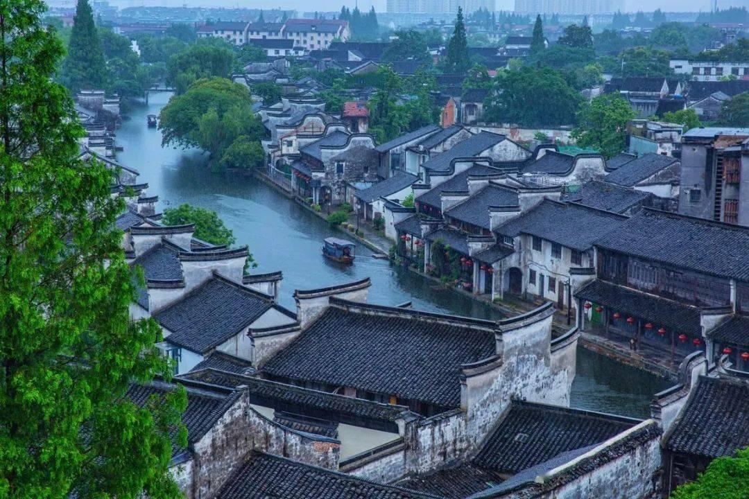 逃离马儿森林